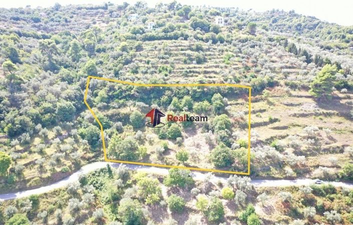 Image No.2-Propriété à vendre à Skopelos