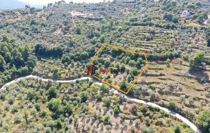 Image No.4-Propriété à vendre à Skopelos