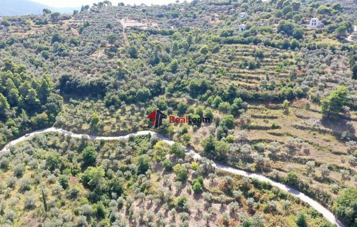 Image No.5-Propriété à vendre à Skopelos