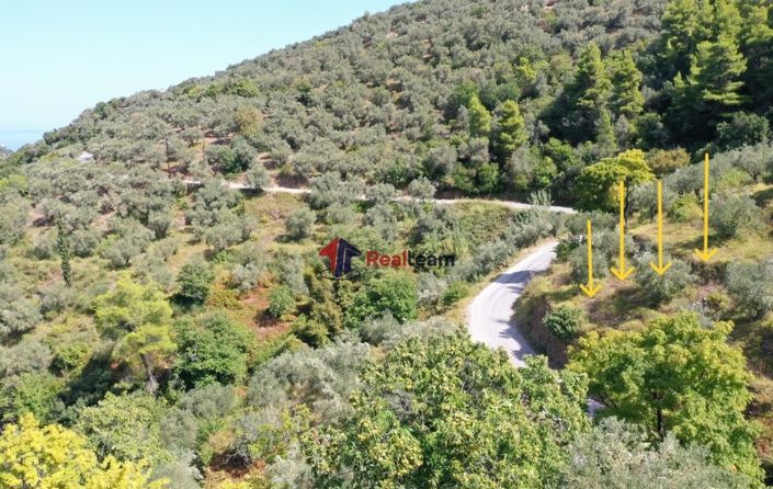 Image No.6-Propriété à vendre à Skopelos