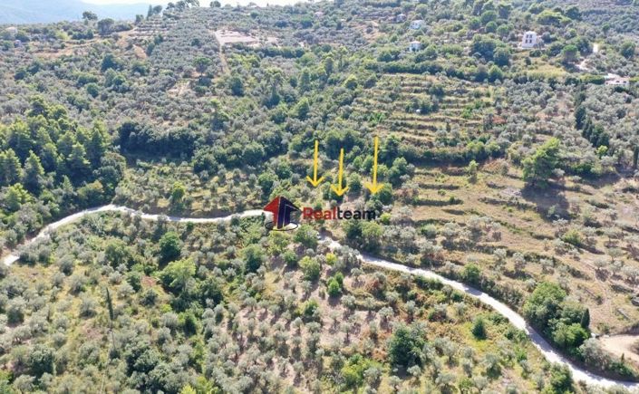 Image No.7-Propriété à vendre à Skopelos