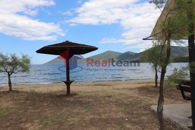 img04248a65-5f0a-4fe6-830b-c22e65ae0fb2