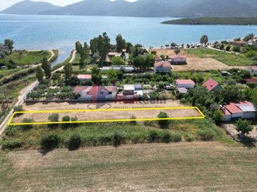 img1524efc0-b267-4134-a602-5f857c383a85