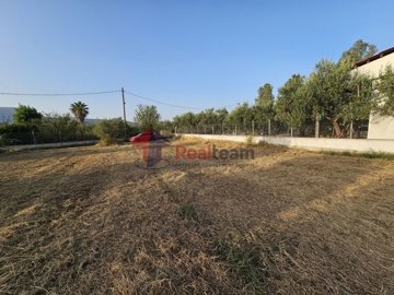 img67dd1f93-5742-4895-a9b1-124341791b8a