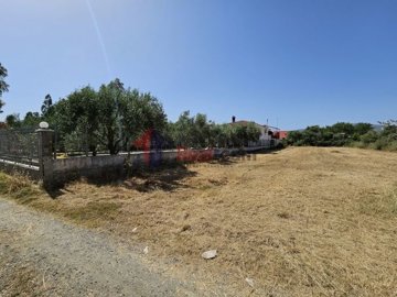 imgd78f7a64-3cab-4c5f-8798-5ef1f6d5f52f