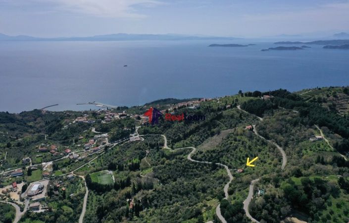 Image No.2-Propriété à vendre à Glossa