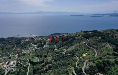 imgef9f2f7b-1a7b-4621-bf15-c882e8fad141