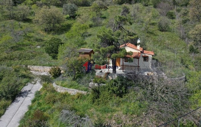 Image No.4-Propriété à vendre à Glossa