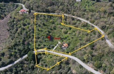 img7e8d021b-73a4-4f00-920b-47a394176867