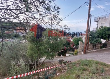 imgea5282ee-347d-4c03-993a-b0b6aaec8551