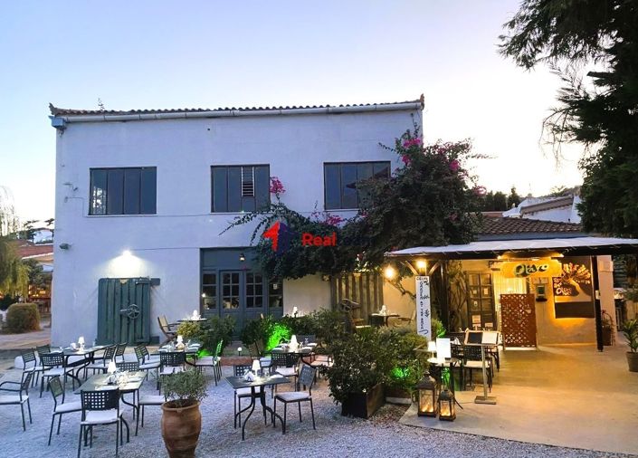 Image No.9-Propriété de 1 chambre à vendre à Chora