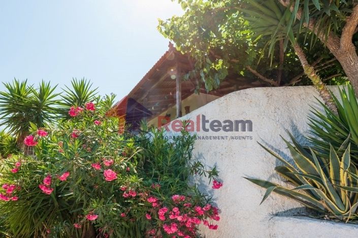 Image No.19-Propriété de 1 chambre à vendre à Alonnisos