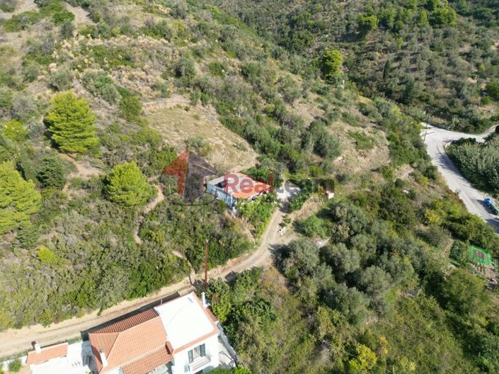 Image No.22-Propriété de 1 chambre à vendre à Alonnisos