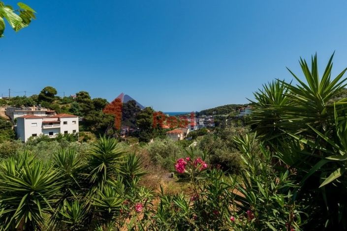 Image No.24-Propriété de 1 chambre à vendre à Alonnisos