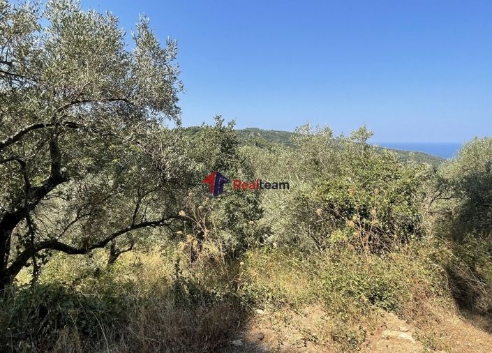 Image No.12-Propriété à vendre à Glossa