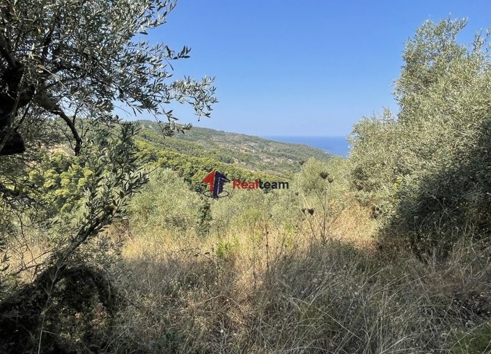 Image No.13-Propriété à vendre à Glossa