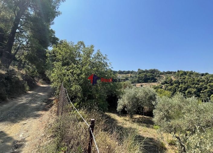 Image No.17-Propriété à vendre à Glossa