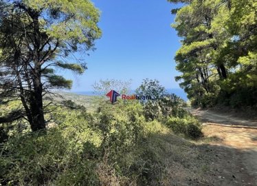 imgc2f04835-a83e-4a31-93fa-eccc67c962e9