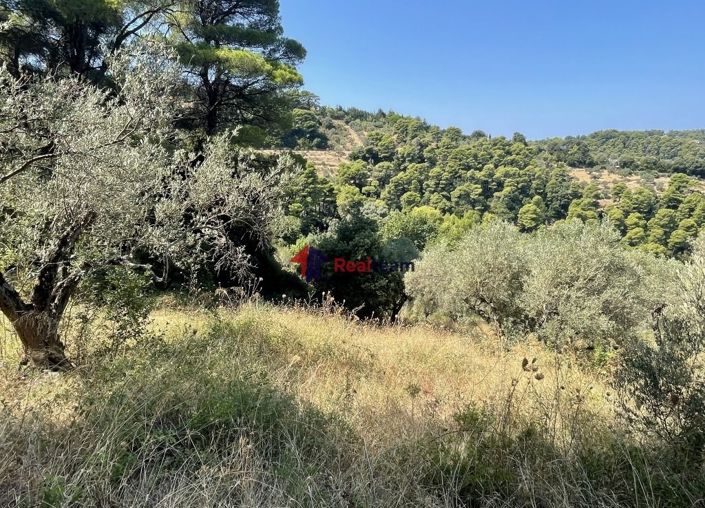 Image No.8-Propriété à vendre à Glossa