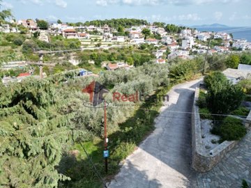 img0163e377-ec23-4ce4-b7a2-c6e54be76c73