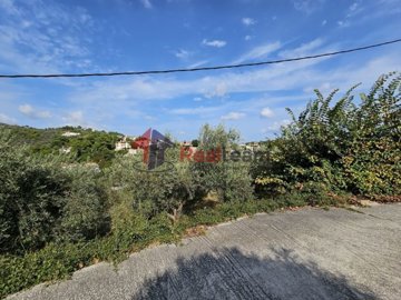 imgd20b4243-b3da-4aa0-bb6f-761e23f2d206