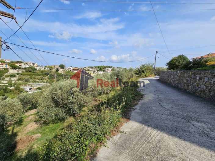 Image No.5-Propriété à vendre à Alonnisos