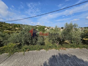 img3413ae6b-3f55-4a4d-9b90-e01a4011d378