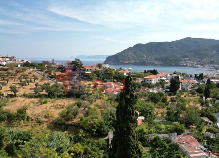 Image No.11-Propriété à vendre à Chora