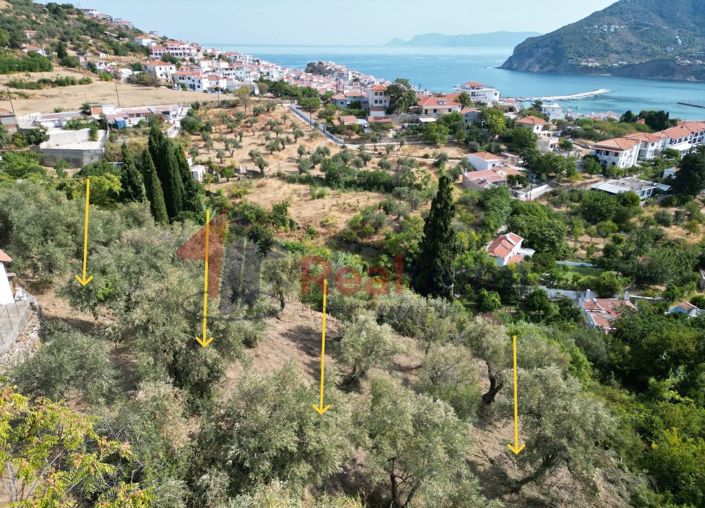 Image No.13-Propriété à vendre à Chora