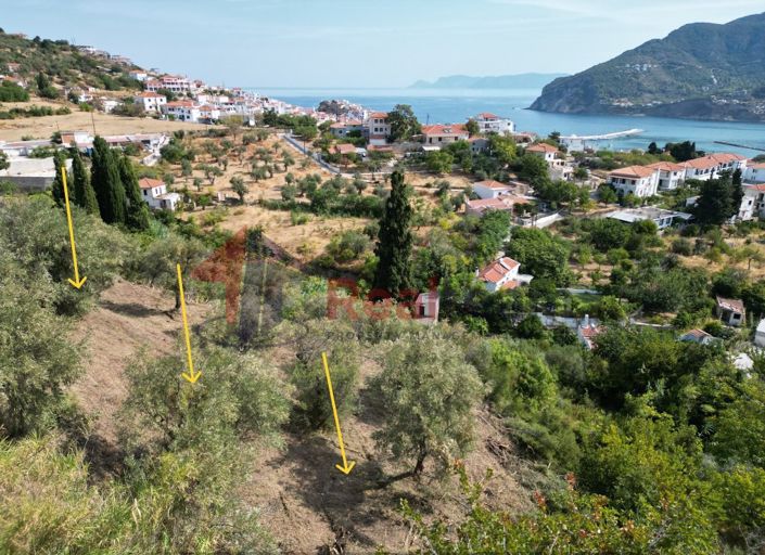 Image No.14-Propriété à vendre à Chora