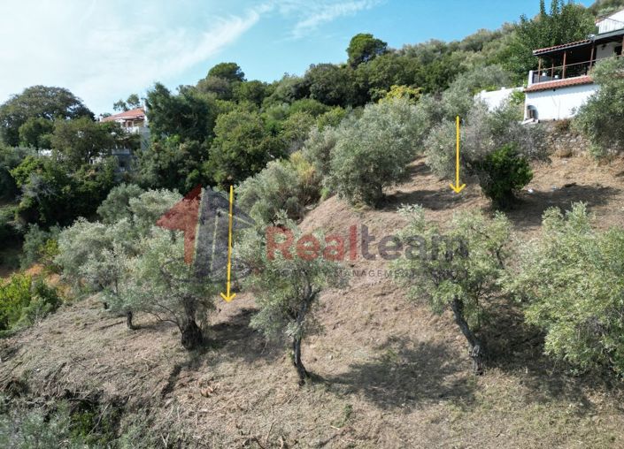 Image No.16-Propriété à vendre à Chora