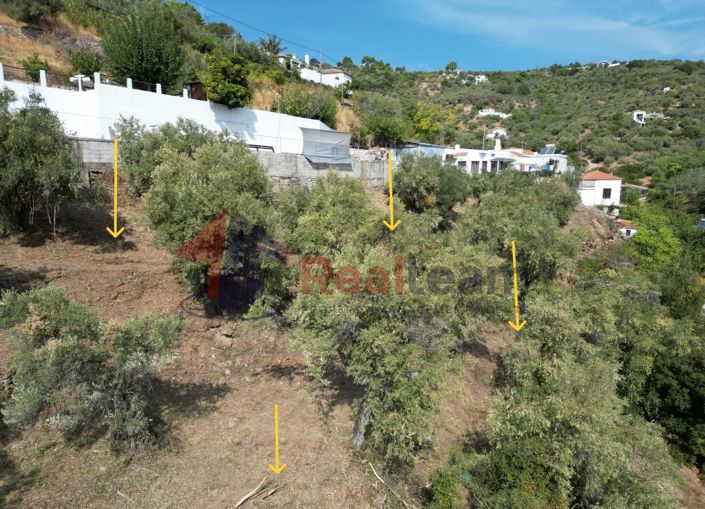 Image No.17-Propriété à vendre à Chora