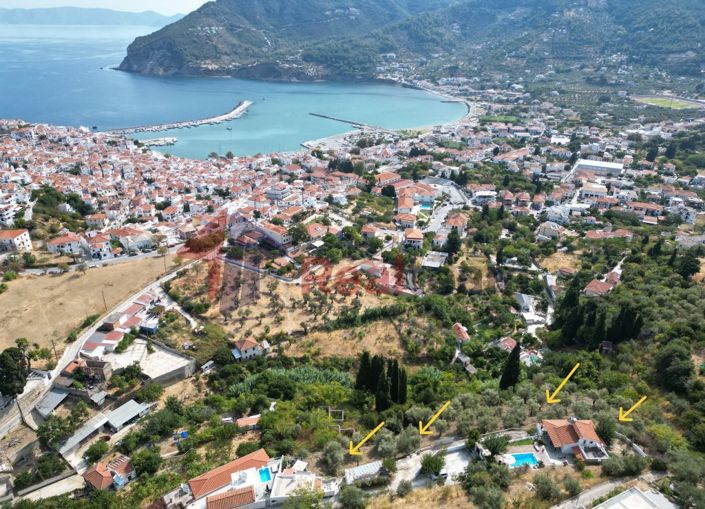 Image No.3-Propriété à vendre à Chora