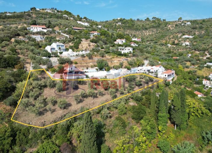 Image No.5-Propriété à vendre à Chora