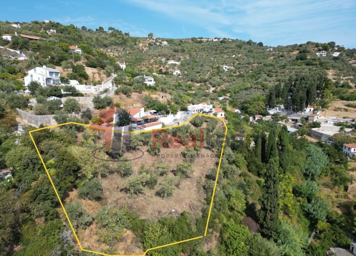 Image No.6-Propriété à vendre à Chora