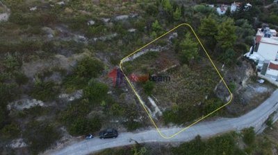 img85e0110a-9d2f-4709-bb7d-184587785e38