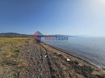 img2a10521f-d6b6-4e55-bdf3-a7d1f8c48daf