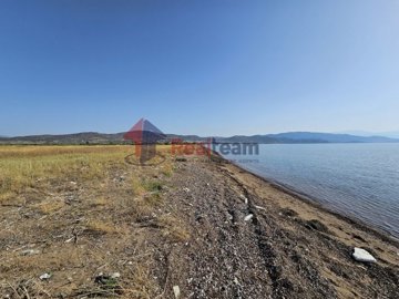 img50baab16-0e24-4bd2-84e4-8e7ec0a53da4