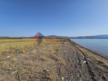 imgb3baf429-783f-4e67-9a50-ca977d986f15