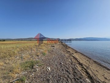 img8fec5d10-0eea-4a87-a062-5a54ee6f4c4e