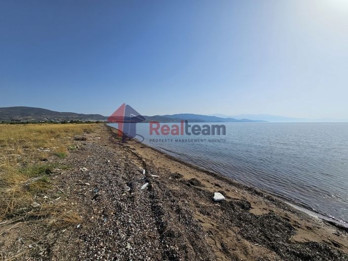 Image No.2-Propriété à vendre à Nea Agchialos