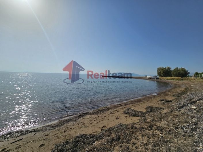 Image No.4-Propriété à vendre à Nea Agchialos