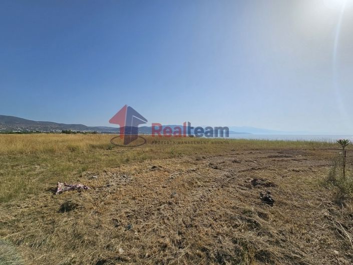 Image No.8-Propriété à vendre à Nea Agchialos