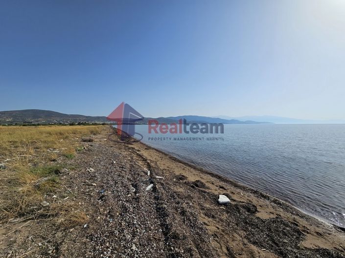 Image No.9-Propriété à vendre à Nea Agchialos