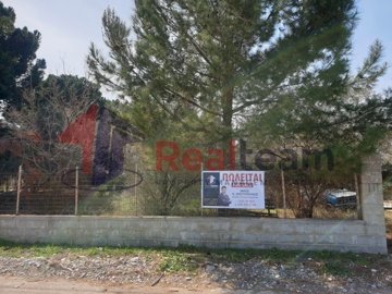 img9f270f0d-d101-47f0-8880-4dd28ca9dfad