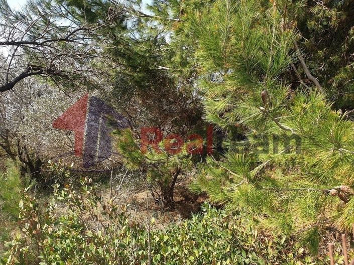 Image No.15-Propriété à vendre à Almiros