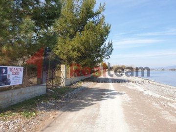 imgbb8b2913-0ac4-4e0d-a6af-0034a8c975fc