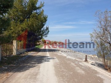 img1bc78932-744e-41ec-8e03-5725a340bb03