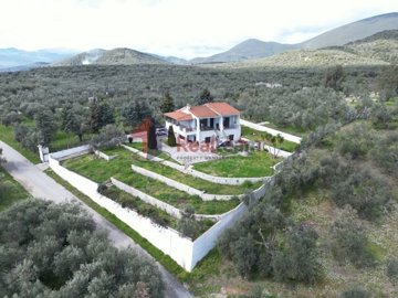 img2eb5d2a5-5691-4f7f-8f18-8cebe498774a