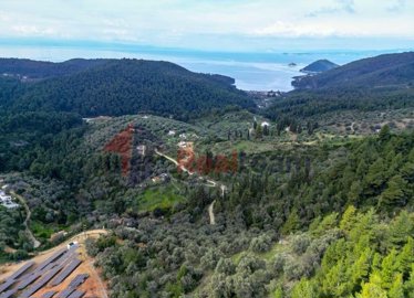 1 - Skopelos, Propriété